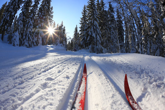 nordic-skiing